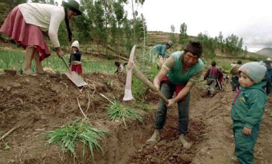 Cuatro de cada diez trabajadores agrícolas son mujeres según AGAP