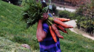 Minagri reunirá seguros agrícolas catastrófico y comercial en un solo producto