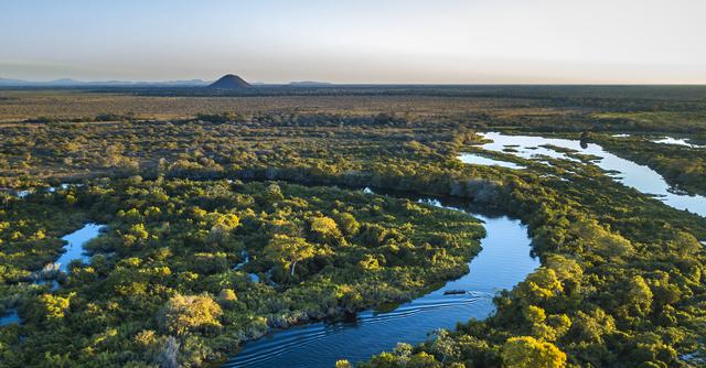 FOTO 3 | 3. Cuidar la biodiversidad  (Foto: iStock)