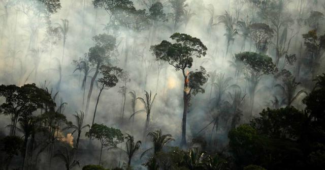FOTO 10 | Incendios del Amazonas
(Foto: Bruno Kelly / Reuters).