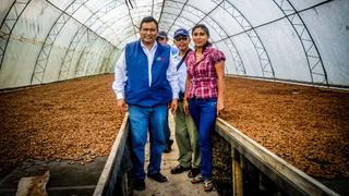 Amazonas exportará 150 TM de cacao criollo a Europa con apoyo técnico de Sierra Exportadora