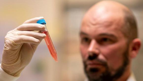Universidad Nacional de Australia, en colaboración con el Instituto Florey de Neurociencia y Salud Mental, han desarrollado un gel compuesto de aminoácidos que puede inyectarse en el cerebro.