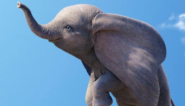 Foto 6 |  Detrás se ubicó "Dumbo", dirigida por Tim Burton, que recibió US$ 6.8 millones en el fin de semana. (Foto: IMDB)