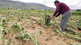 Diferencias entre el Seguro Agropecuario Cofinanciado y Seguro Agrícola Catastrófico