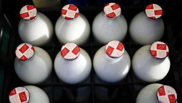 El Reino Unido produjo 15,300 millones de litros de leche el año pasado, por lo que el abastecimiento aún no está amenazado, pero la destrucción de leche muestra la magnitud de los problemas laborales que están poniendo a prueba las cadenas de suministro en todo el país. (Foto: REUTERS / Hannah McKay)