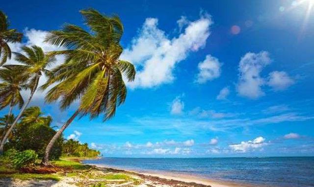 ISLAS CAIMÁN. Las Islas Caimán son un Territorio Británico de Ultramar ubicado en el oeste del Caribe y que está compuesto por tres islas, las cuales reciben el nombre de Gran Caimán, Caimán Brac y Pequeño Caimán. Con unas espléndidas aguas cristalinas, u