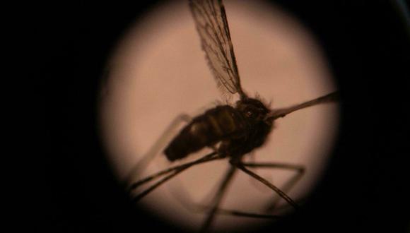 Esta enfermedad parasitaria que es transmitida por el mosquito Anopheles mató a más de 400,000 personas en el 2019, sobre todo en África. (Foto: AFP)