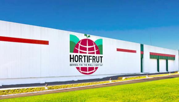 Hortifrut, con operación en Perú, se ha dedicado la exportación de berries al mundo.