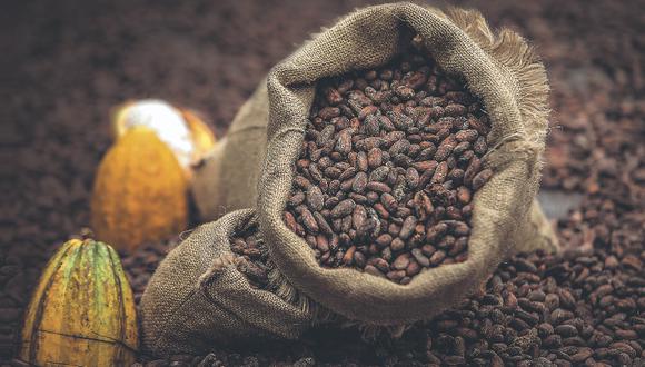Los árboles del cacao son originarios de la selva amazónica que se extiende ampliamente por Perú, pero se cree que los incas, a diferencia de los mayas y aztecas, no lo consumieron demasiado.