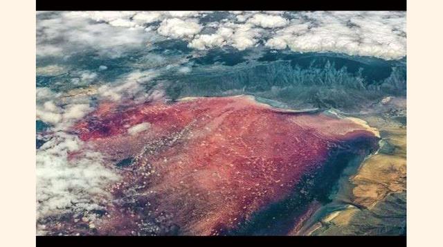 Lago Natron, Tanzania. Este lago salado endorreico africano se localiza en el Gran Valle del Rift, en Tanzania, en la frontera con Kenia. Se trata de un lago mítico y misterioso que, según la leyenda, puede petrificar los animales que quedan allí.