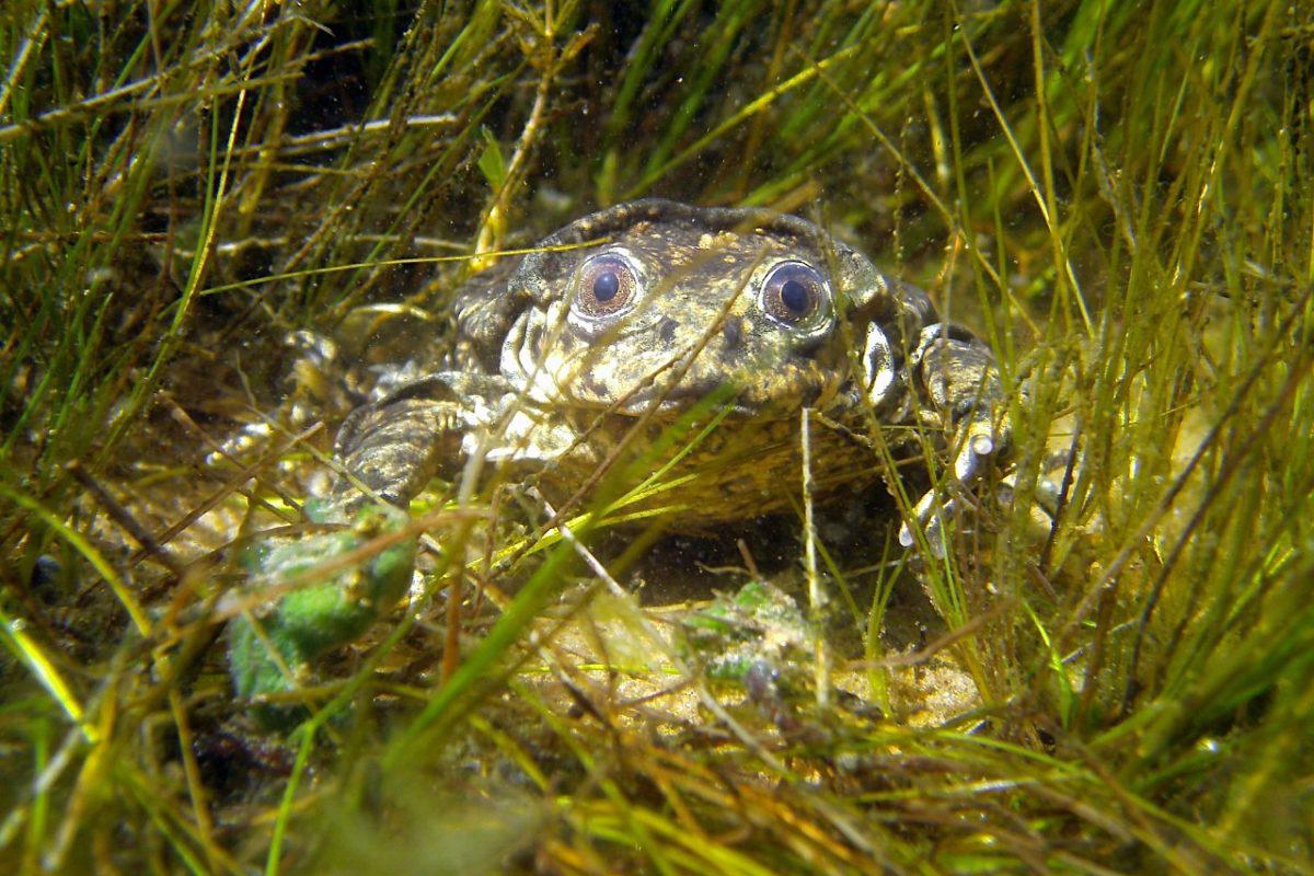 (Foto: Teresa Camacho)