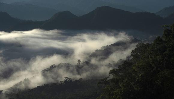 Vista general de la reserva natural de las montañas Cordillera Escalera en Tarapoto, noreste de Perú, el 10 de julio de 2022. (Foto de ERNESTO BENAVIDES / AFP)