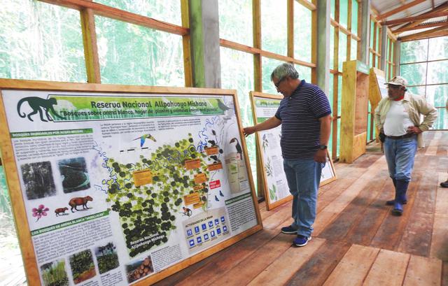 FOTO 5 | Allpahuayo Mishana, la ruta de la Biodiversidad
Esta Reserva Nacional se ha convertido este 2018 en una de las últimas joyas de naturaleza para el turismo que no te puedes perder en Iquitos. Este destino es perfecto para hacer caminata por bosques de varillal, observar aves, avistar monos, hacer pesca recreativa, pasear en bote, canoas, trekking y actividades de turismo vivencial. Hay hasta tres senderos turísticos y una ruta fluvial para vivir una experiencia completa a tan solo 40 minutos de la ciudad.
Esto, a través de un viaje por el río Nanay donde encontrarás albergues, guías locales, servicios de alimentación y el centro de interpretación del área natural protegida. ¿Cómo llegar? La Reserva Nacional Allpahuayo Mishana está a solo 30 minutos de la ciudad de Iquitos.