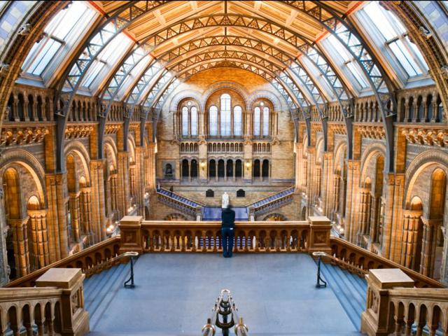 3. El Museo de Historia Natural de Londres tiene salas cavernosas y bien alumbradas para iluminar sus exposiciones.