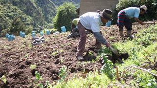 Minería y agro: modelos que podrían ejecutarse alrededor de los proyectos