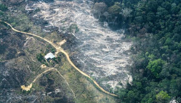 En el 2019, durante el primer año de Jair Bolsonaro al frente del Ejecutivo, la deforestación en la Amazonía tuvo un incremento de 85%, devastando unos 10,123 km2 de selva. Foto: Fundación para la Conservación y el Desarrollo Sostenible (FCDS).