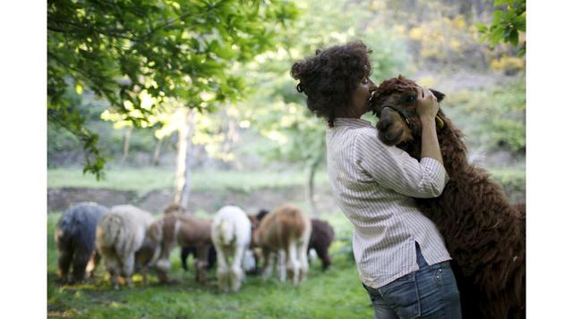 La inglesa Lisa Vella-Gatt abraza a una alpaca en su granja cerca de Benfeita, Portugal.