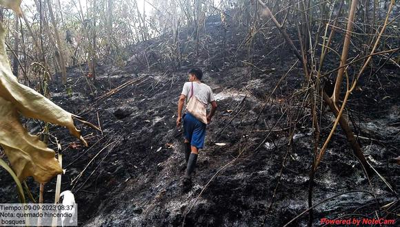 Incendios forestales estarían causando graves daños a la Amazonía.