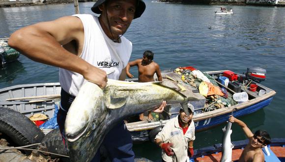Instituto del Mar del Perú ejecutará pesca exploratoria del recurso perico (Foto: Andina)