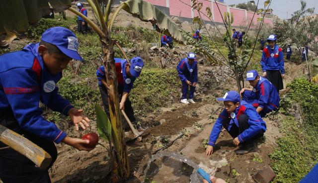FOTO 4 | No convertir tareas domésticas en negocio: Es mejor que los niños aprendan a colaborar con la familia aun en tareas sencillas. No todas las tareas domésticas deben ser remuneradas. (Foto: GEC)