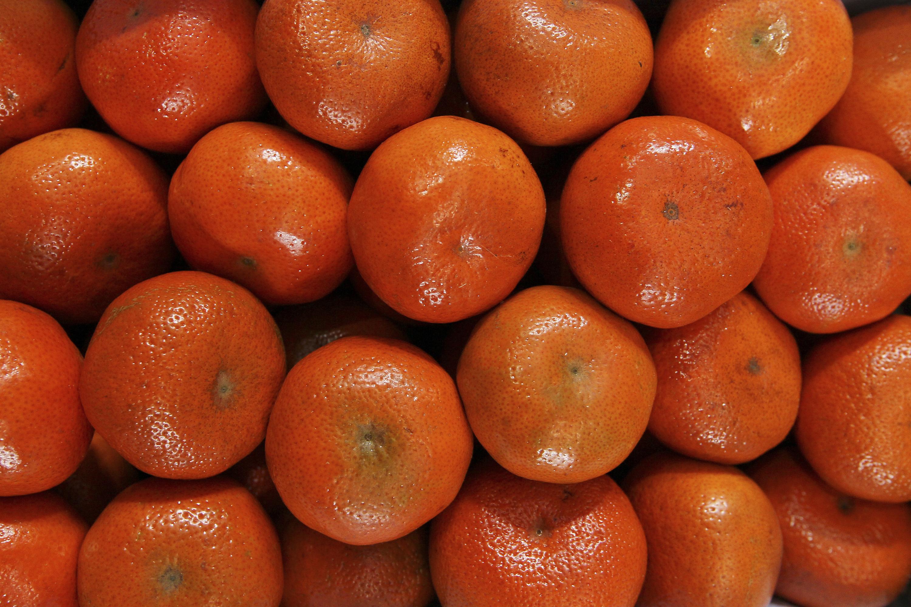 mandarina satsuma