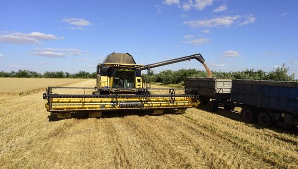 Rusia es el mayor exportador mundial de trigo, y abastece principalmente a Oriente Medio y África. Se espera que este año recoja una cosecha récord. (Imagen referencial: Olga MALTSEVA / AFP).