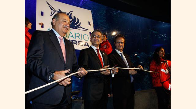 La ciudad de México inauguró su gran acuario, propiedad del grupo financiero del magnate Carlos Slim Helú, aunque sus puertas abrirán al público el 11 de junio próximo. (Foto: Excelsior)