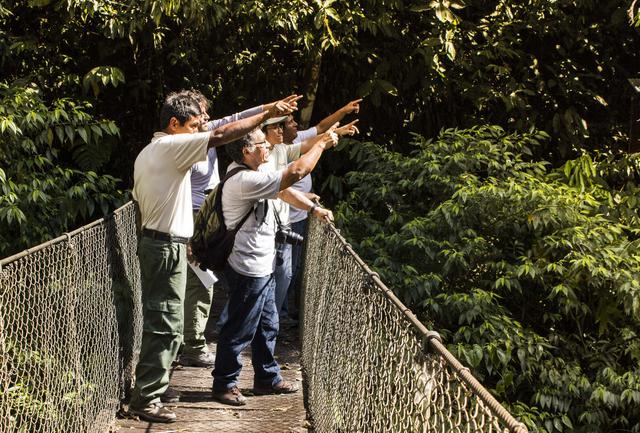 FOTO 4 | Yanachaga Chemillén, el paraíso de las orquídeas
Estar al pie del cañón más profundo de la selva central bien vale un viaje. Este Parque Nacional es un área natural protegida donde se respira aventura, y, precisamente, se puede hacer un recorrido en familia por la ruta de las orquídeas, Robin Foster, el camino de Colonos Austro Alemanes y el sendero Pan de Azúcar. Una cita imprescindible en esta Semana Santa es visitar el mirador Paujil, Cruzadero venado, la colpa lobo, la Laguna luna llena y el circuito “las cavernas”.
Cada ruta te regala nuevas experiencias como campamento, buceo, caminatas diurnas y nocturnas con bajo nivel de dificultad y observación de fauna como: gallito de las rocas, ardillas, monos, sacahavacas, venado rojo, majaz y nutria de río, todos en su hábitat natural. ¿Cómo llegar? El Parque Nacional, Yanachaga Chemillén está a tan solo 10 minutos de la ciudad de Oxapampa.