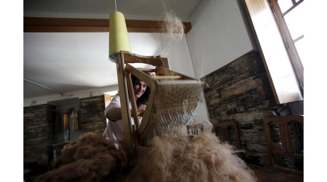 Anualmente, la granja de Lisa Vella-Gatt produce alrededor de 50 kilos de lana de alpaca.