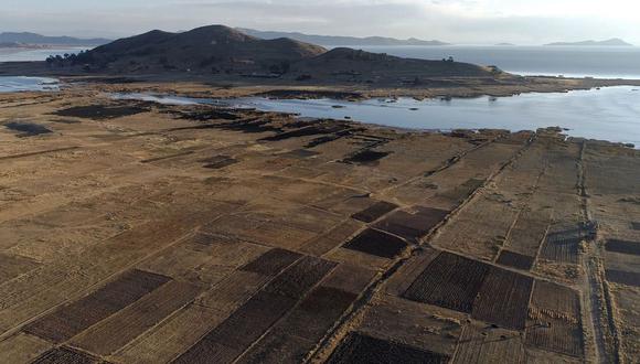 Sectores del lago Titicaca en Puno sin agua ante falta de lluvias. (Foto: AFP)