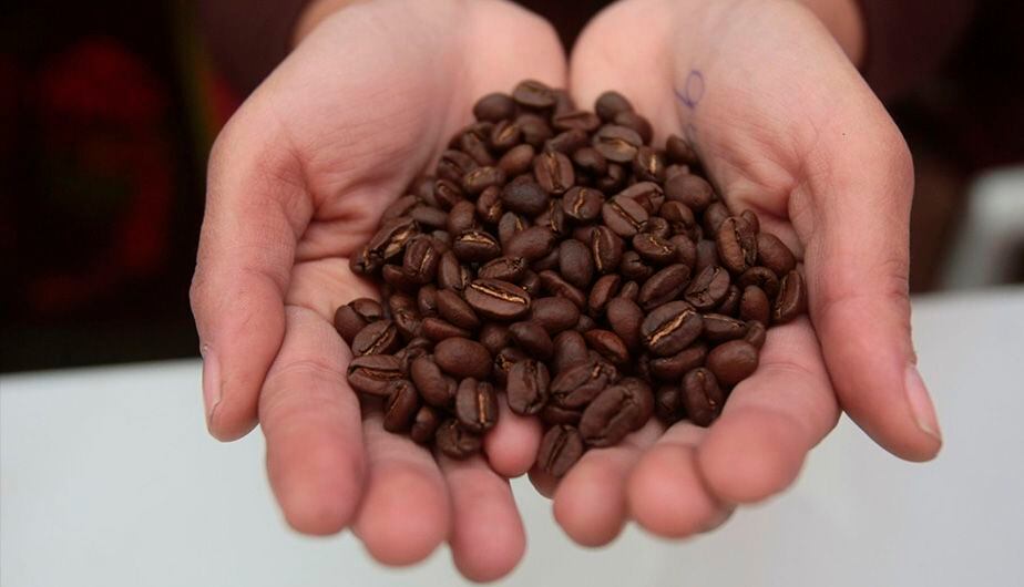 South America leads coffee production despite its biggest drop in 20 years