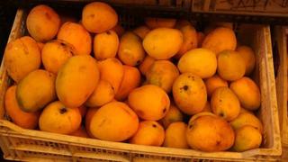 El mango fue el segundo producto estrella de agroexportación no tradicional en enero