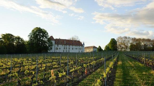 Allaman Castle, Suiza. Ubicado a 25 minutos a las afueras de Ginebra. Cuenta con más de 60 habitaciones y se calcula con un valor superior a los US$ 131 millones. (Foto: Forbes)
