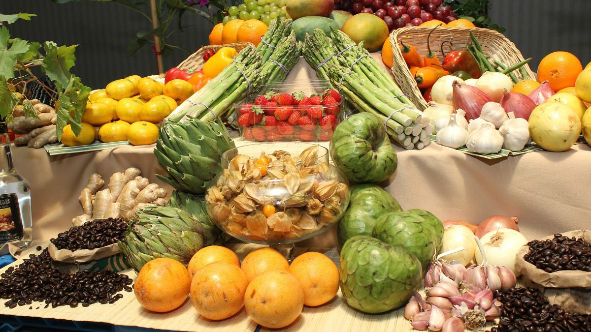 Adex identificó oportunidades no aprovechadas en Australia. (Foto:Difusión)