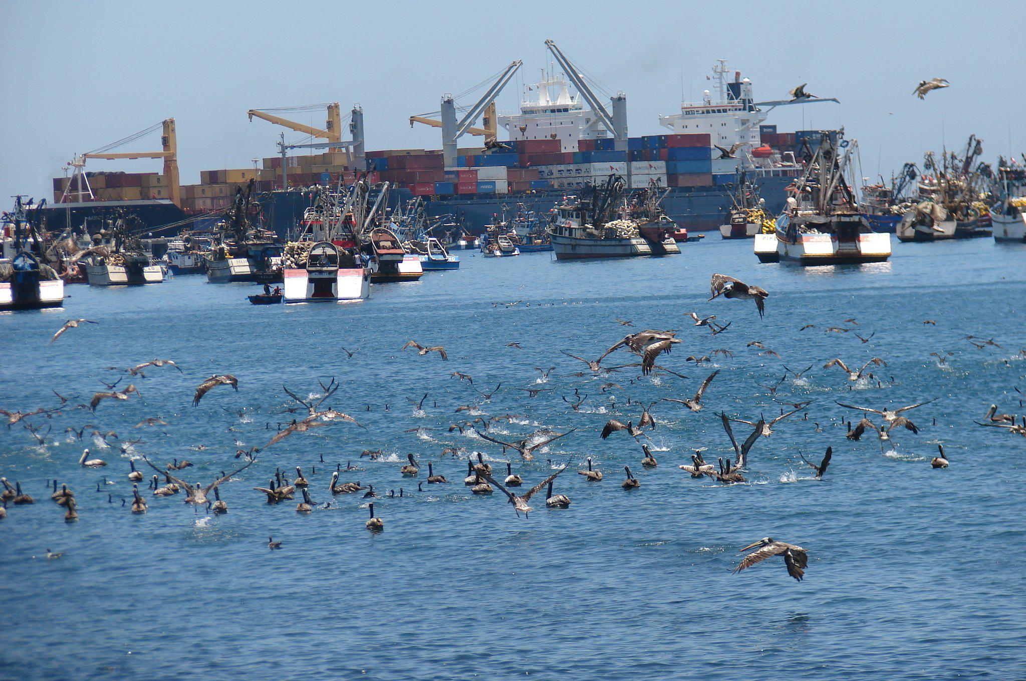 Los acuerdos buscan potenciar el comercio internacional de Bolivia a través del puerto de Ilo. (Foto: USI)