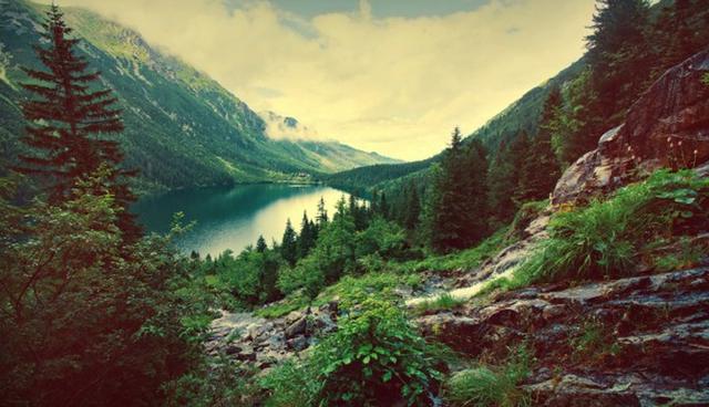 FOTO 22 | 22. Disfruta estar fuera
No hay nada más bello e inspirador que la naturaleza. Ya sea para ver las estrellas o caminar, sal lo más que puedas.
(Foto: Freepik)