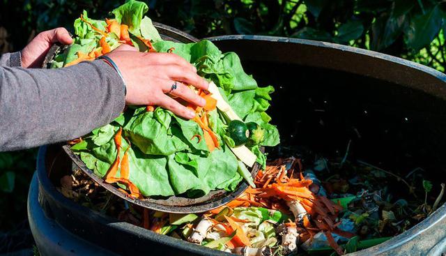 FOTO 9 | 9. Sinba. Los residuos orgánicos que terminan en la basura se pueden convertir en un problema de contaminación para la ciudad. Por ello, este emprendimiento recolecta residuos orgánicos en buen estado, principalmente de restaurantes, y los procesa para producir alimento para cerdos de granja. De esta forma impulsa el consumo cíclico.