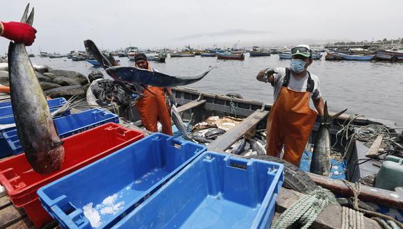 Según datos del Ministerio de la Producción, este incremento está ligado al mayor desembarque de recursos procedentes de la pesca artesanal. Foto: GEC