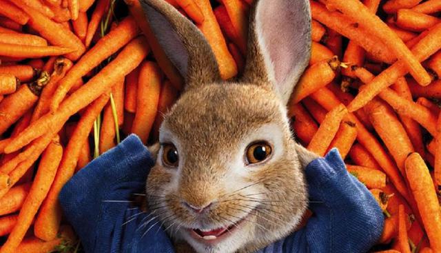 18. PETER RABBIT. Recaudación mundial: $351 266 433 (Foto: Sony Pictures)