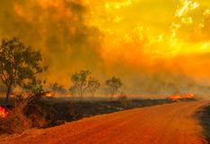 Incendios en Australia: Campaña recauda fondos desde el sector privado para ayudar a los afectados