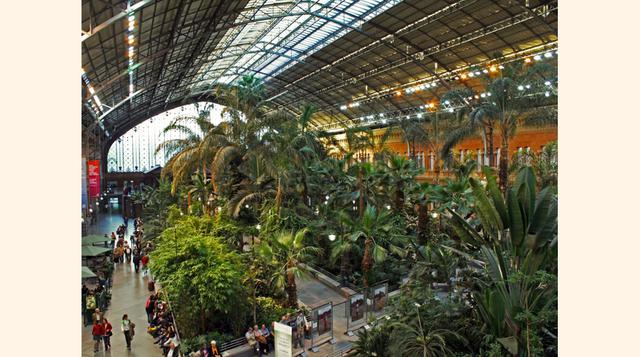 9. La estación de tren Atocha en Madrid, España, es la más grande de la ciudad e incluye una estructura de acero y vidrio mezclada con jardines tropicales a lo largo de su explanada. Mientras espere su tren o metro, vea la exhibición de esculturas de la e