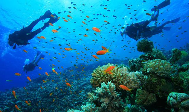 FOTO 19 | Belice: Reserva Marina Hol Chan