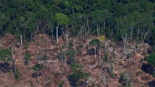 Récord de deforestación en Amazonía contradice discurso de Brasil en la COP26