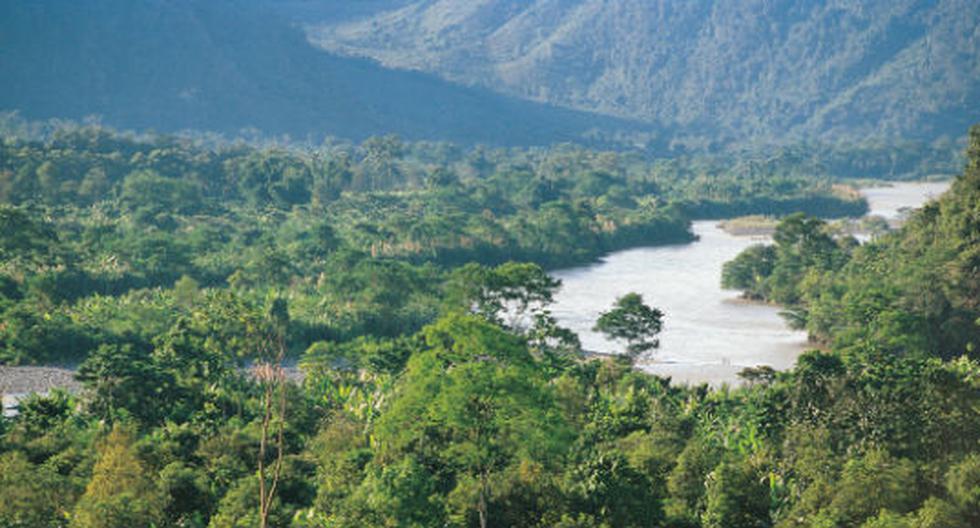 Gobierno Eval a Ampliar Programa De Conservaci n De Bosques Hasta El 