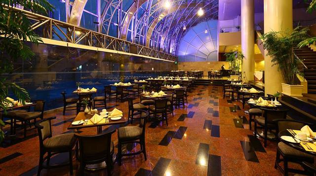 El Delphos Bistró se ubica al interior del Hotel Los Delfines y es especializado en cocina internacional y peruana. El costo por persona puede llegar a S/120.