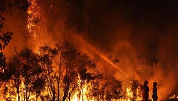 En Australia Occidental ardían el domingo más de 20 incendios forestales, según informó en su página web la agencia estatal de servicios de emergencia. (Foto: difusión)