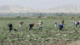 Sólo el 8% de productores agropecuarios acceden a crédito en el sistema financiero