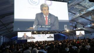 COP 20: Plenaria no tuvo consenso y Pulgar Vidal tendrá reuniones con bloques en busca de acuerdos