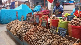 Producción de papa caería hasta en 40% por sequías y heladas, advierte CCL