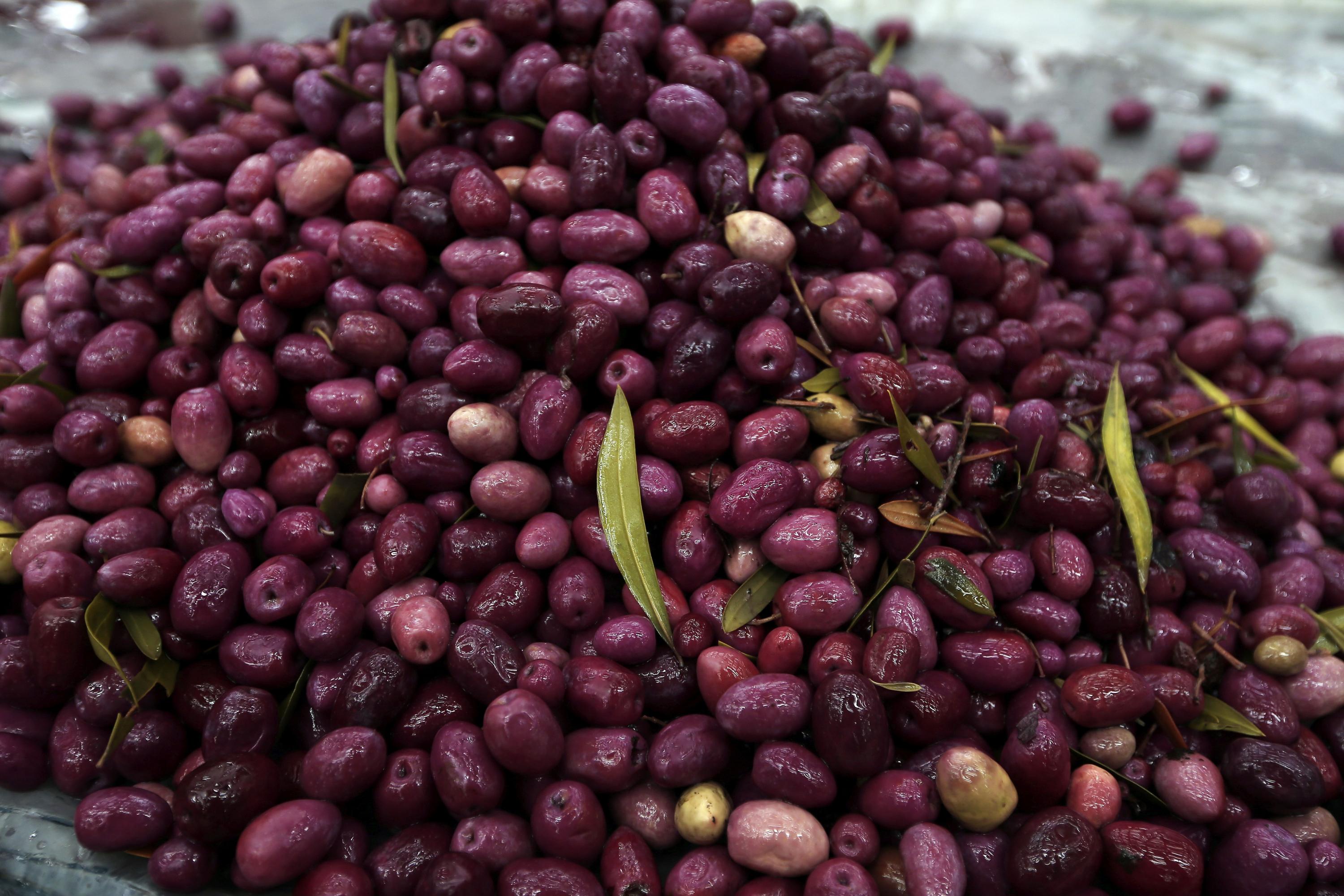 Se evidenció la presencia de moscas y utensilios en mal estado en las instalaciones de los locales clausurados, según Digesa. (Foto: GEC)
